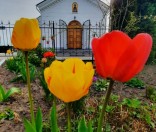 Весна в монастыре