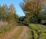 Золотая осень
