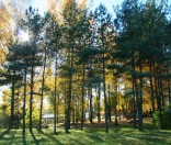 Золотая осень