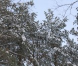 Первый день зимы в Полоцкой обители