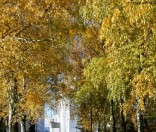 Золотая осень