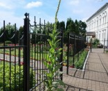 Лето в Спасо-Евфросиниевском монастыре