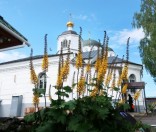 Лето в Спасо-Евфросиниевском монастыре