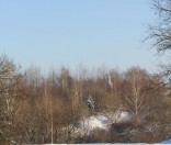 Первый день зимы в Полоцкой обители