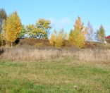 Золотая осень