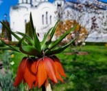 Весна в монастыре