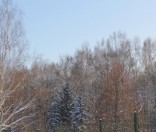 Первый день зимы в Полоцкой обители