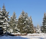 Первый день зимы в Полоцкой обители