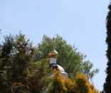 Праздник Вознесения Господня в Полоцкой обители
