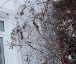 Первый день зимы в Полоцкой обители