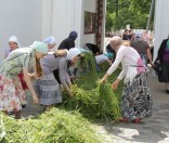 Подготовка праздничной дорожки