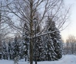 Первый день зимы в Полоцкой обители