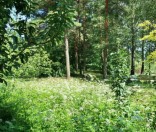 Лето в Спасо-Евфросиниевском монастыре