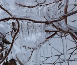 Первый день зимы в Полоцкой обители