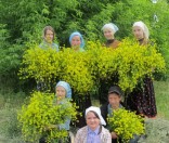 Подготовка к празднику прп. Евфросинии