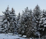 Первый день зимы в Полоцкой обители