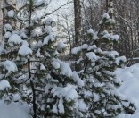 Первый день зимы в Полоцкой обители