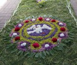 Праздничный орлец