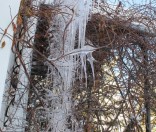 Первый день зимы в Полоцкой обители