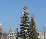 Первый день зимы в Полоцкой обители