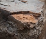 В Полоцком Спасо-Евфросиниевском монастыре открылись подробности устройства галерей Спасского храма