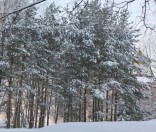 Первый день зимы в Полоцкой обители