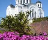 2008 год