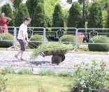 Подготовка праздничной дорожки
