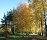 Золотая осень