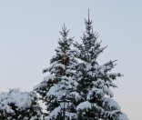 Первый день зимы в Полоцкой обители