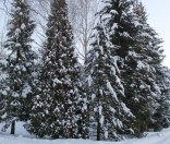 Первый день зимы в Полоцкой обители