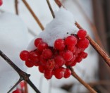Первый день зимы в Полоцкой обители