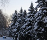 Первый день зимы в Полоцкой обители