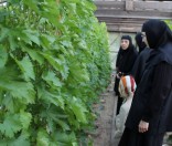 Спасо-Евфросиниевский женский монастырь посетили сестры из монастыря Пантократор острова Корфу