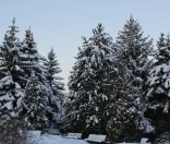 Первый день зимы в Полоцкой обители