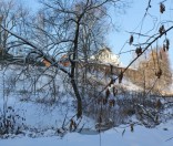 Первый день зимы в Полоцкой обители