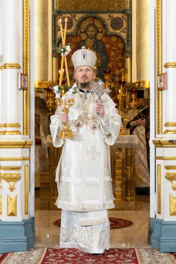 главная главная