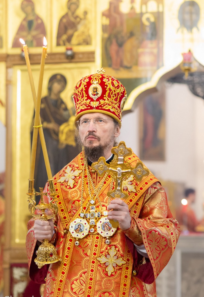 главная