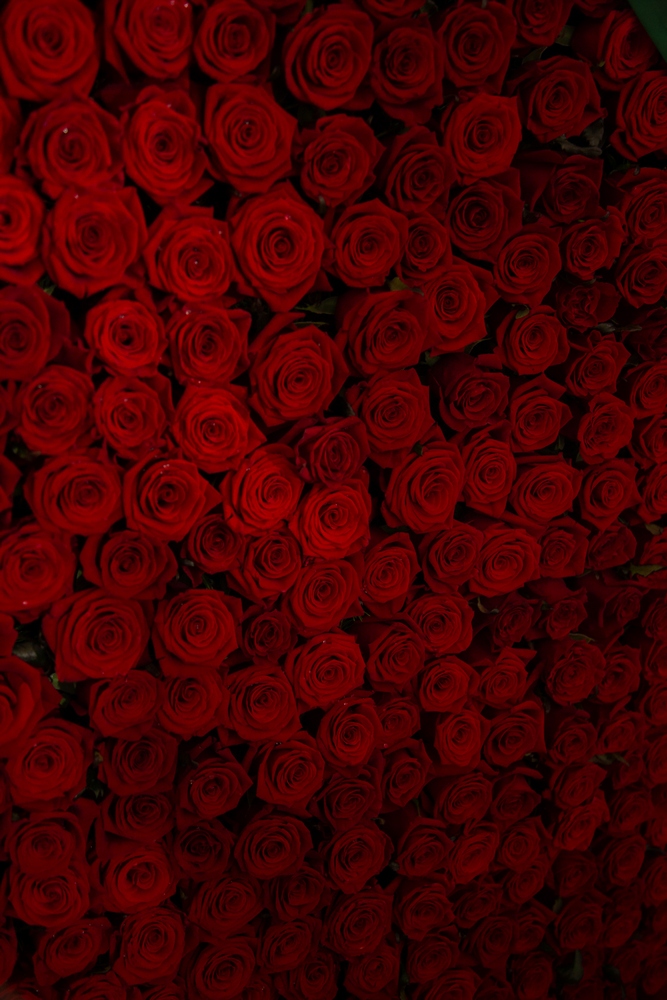41