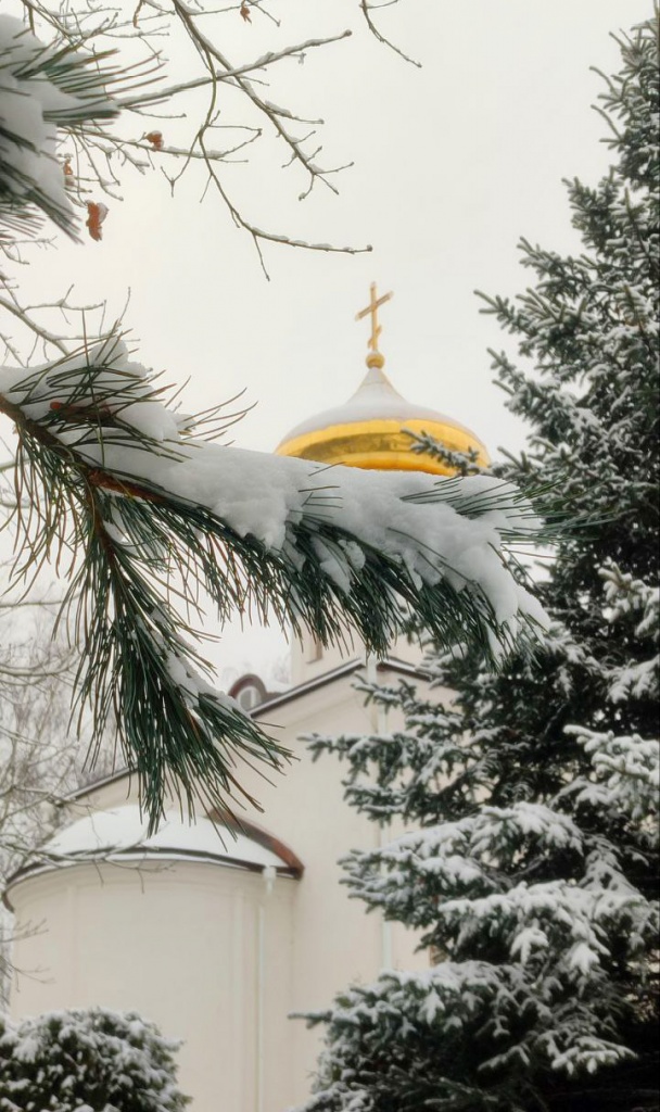 на_главную на_главную